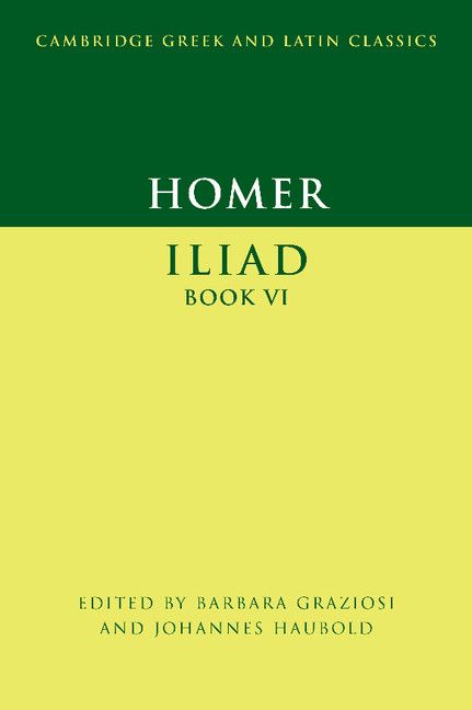 Iliad Book VI